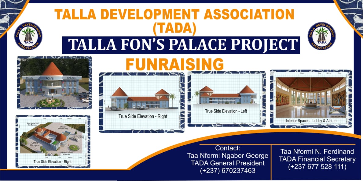 TADA fundraising banner for the Talla Fon's Palace Project, showing architectural renderings and contact information